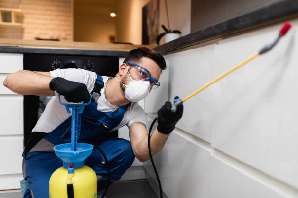 Best Pest Inspection Near Me  in Lakeshire, MO