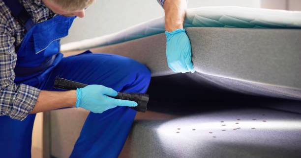 Best Local Pest Control Services  in Lakeshire, MO